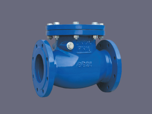 Check valves