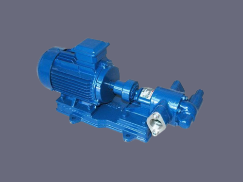 Gear Pump and Motors